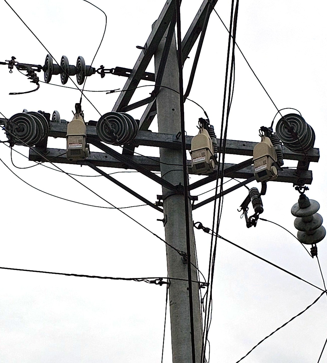 TripSaver II reclosers installed on Davao Light and Power Company&rsquo;s network.